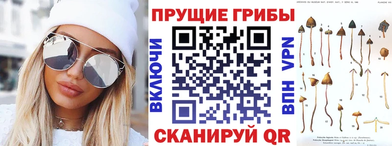 Псилоцибиновые грибы GOLDEN TEACHER  Арзамас 
